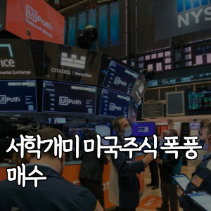 서학개미-미국주식-폭풍-매수