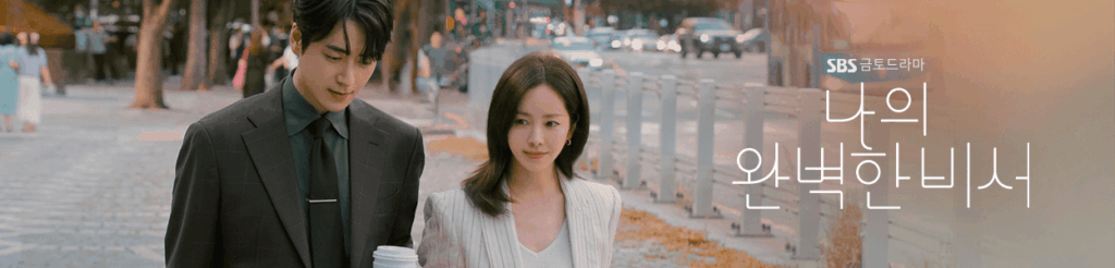 나의 완벽한 비서
