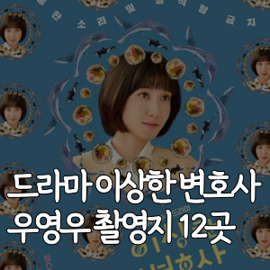 드라마-이상한 변호사 우영우 촬영지-12곳