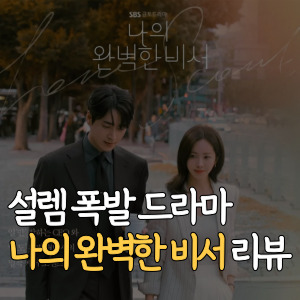 설렘-폭발-드라마-나의 완벽한 비서-리뷰