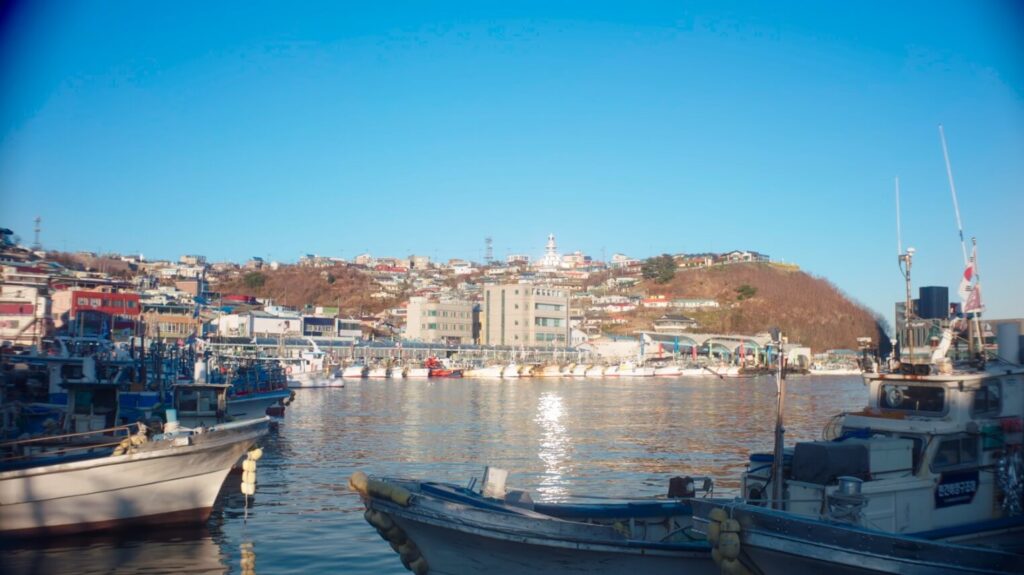동해 묵호항