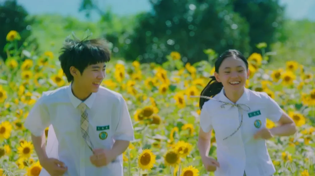 김경숙해바라기농장