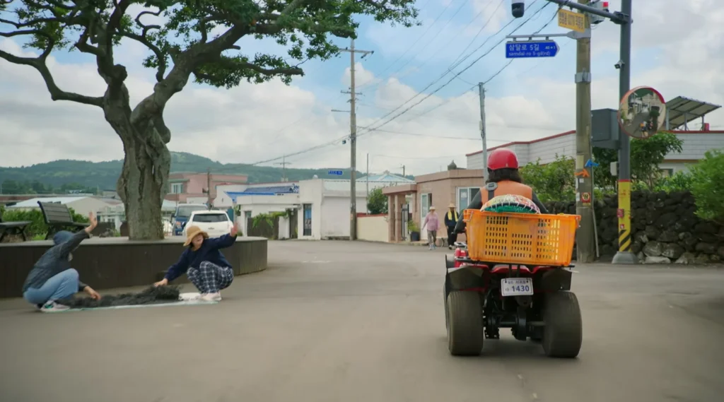 종달논길