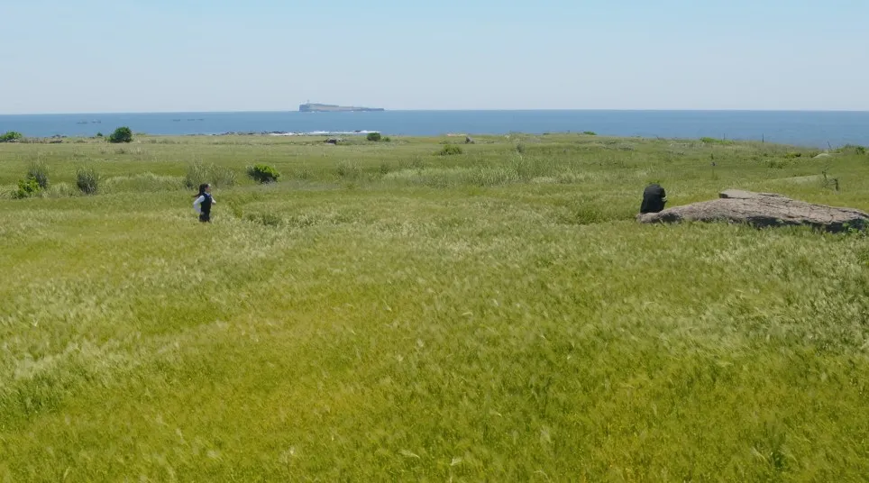 가파도