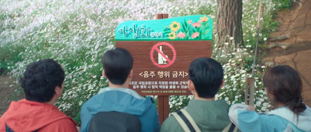 정읍 구절초지방정원