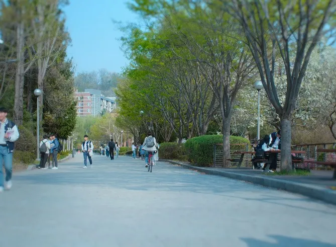 서울시립대학교