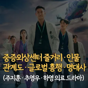중증외상센터-줄거리-인물관계도-글로벌흥행-명대사-주지훈-추영우-하영-의료드라마