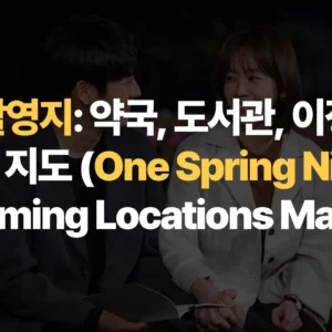 12월25일_봄밤-촬영지-약국-도서관-이정인집-위치-지도-One-Spring-Night-Filming-Locations-Map