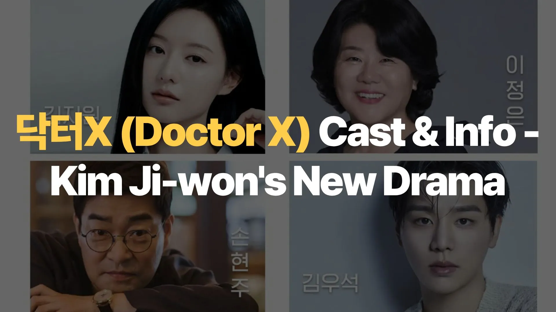 닥터X (Doctor X) Cast & Info – Kim Ji-won’s New Drama