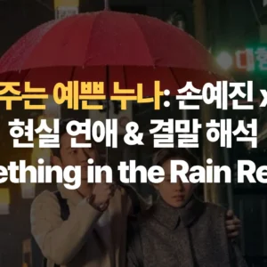 밥-잘-사주는-예쁜-누나-손예진-정해인-현실-연애-결말-해석-Something-in-the-Rain-Review