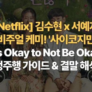 Netflix-김수현-서예지-압도적-비주얼-케미-사이코지만-괜찮아-It's-Okay-to-Not-Be-Okay-정주행-가이드-결말-해석