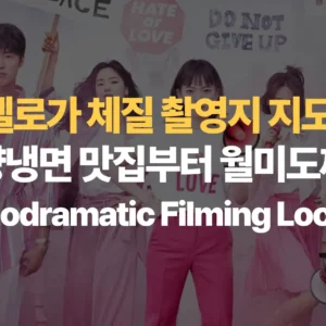 멜로가-체질-촬영지-지도-평양냉면-맛집부터-월미도까지-Be-Melodramatic-Filming Locations