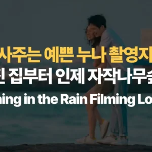 밥잘사주는예쁜누나-촬영지-지도-손예진집부터-인제-자작나무숲까지-Something-in-the-Rain-Filming-Locations
