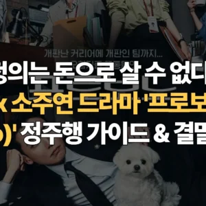 정의는-돈으로-살-수-없다-정경호-소주연-드라마-프로보노(Pro Bono)-정주행-가이드-결말-해석