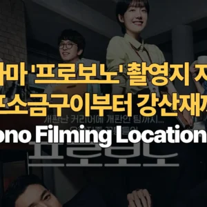 드라마-프로보노-촬영지-지도-마포소금구이부터-강산재까지-Pro-Bono-Filming-Locations-Map