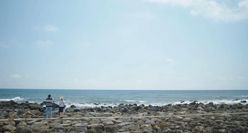 우영우돌고래스팟_신도2리_신도포구