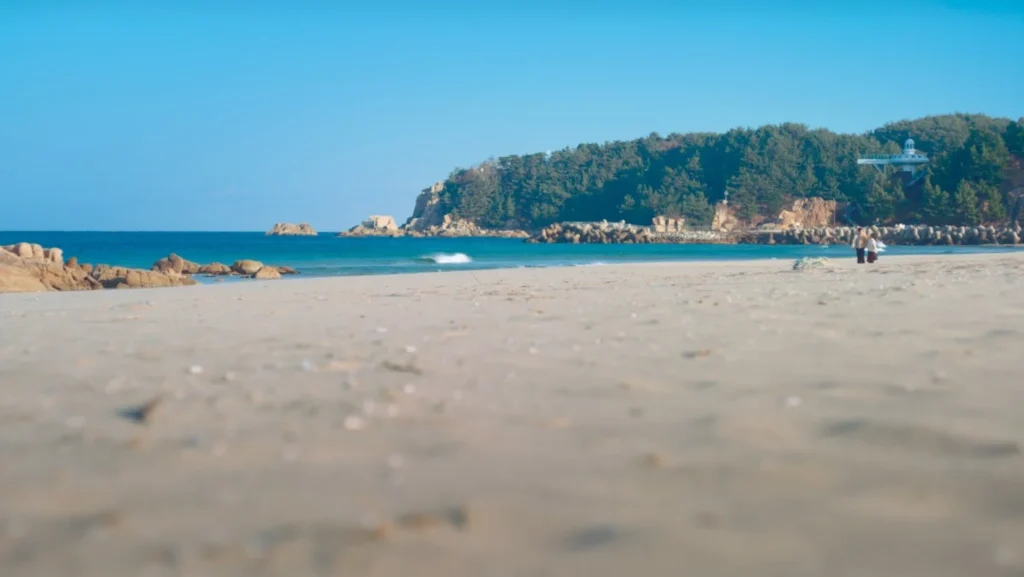 하조대하수욕장 스물다섯 스물하나