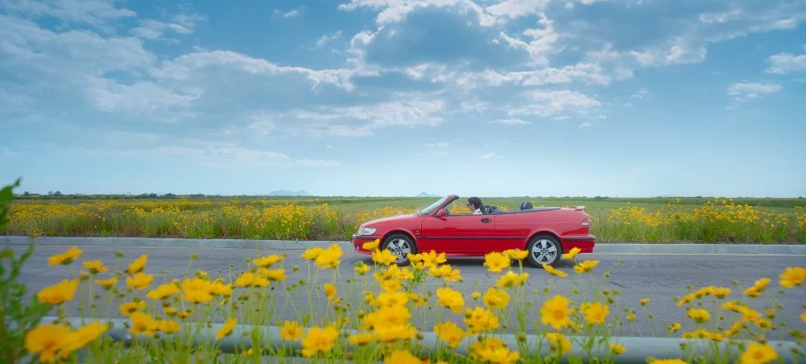 6화 계화도 간척지2