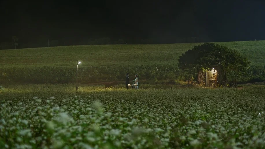 고창학원농장-메밀밭