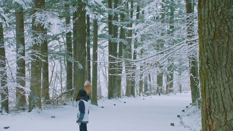 평창-월정사-전나무-숲길