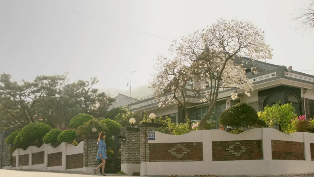 우면동 오해영집